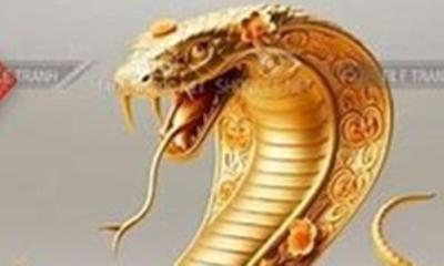 Tin tức tóm tắt về Việt Nam